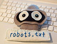 鄭州網(wǎng)站建設：Robots在SEO中的作用是什么？