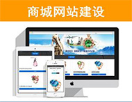 商城網(wǎng)站建設有哪些功能？