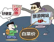 農村旅游網(wǎng)站建設及用戶(hù)體驗度的提高？