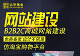 商城網(wǎng)站和展示型網(wǎng)站開(kāi)發(fā)有什么不同？